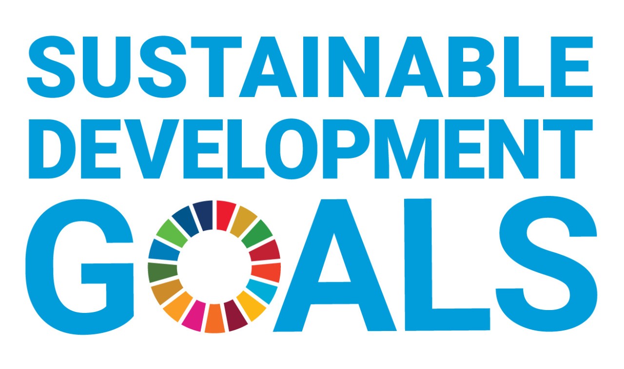Sustainable development goals logo in English